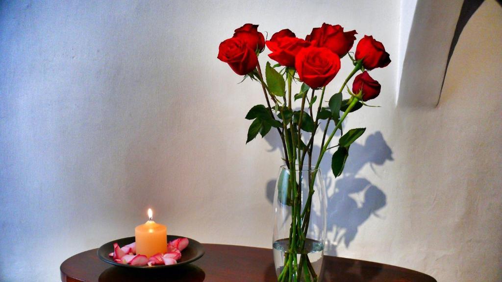 Casa De Las Rosas كوينكا المظهر الخارجي الصورة