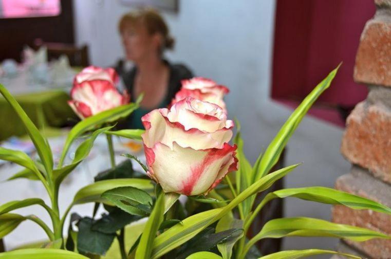 Casa De Las Rosas كوينكا الغرفة الصورة